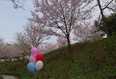 IMGP3861_0404