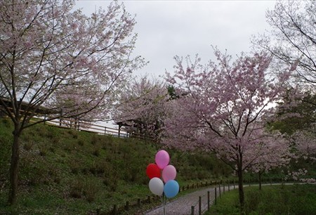 IMGP3991_0404