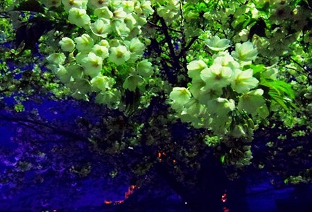 IMGP2994_0404