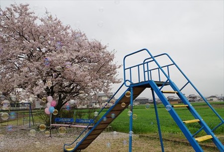 IMGP4139_0405