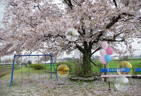 IMGP4268_0405