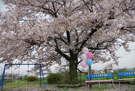 IMGP4305_0405