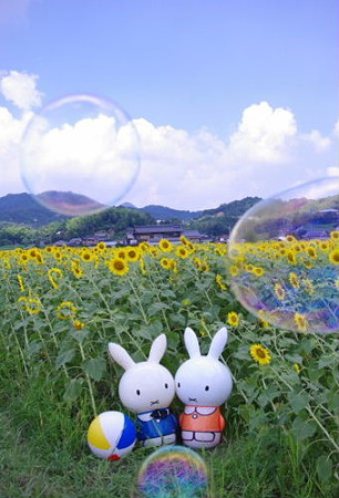 IMGP8773_0723