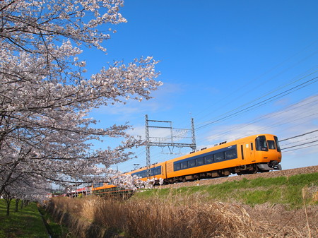 近鉄22000系京橿特急 近鉄京都線大和西大寺駅01