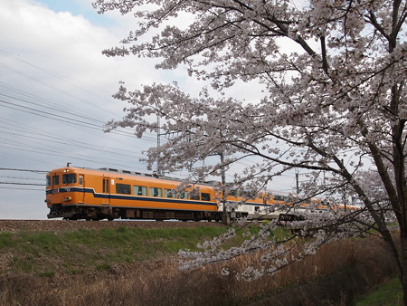 近鉄30000系京橿特急 近鉄橿原線ファミリー公園前~結崎駅02