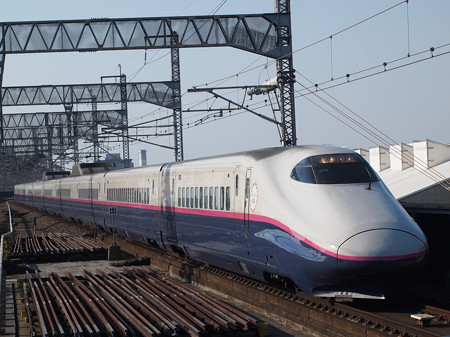 E2系とき 上越新幹線大宮駅02