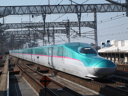E5系はやぶさ 東北新幹線大宮駅