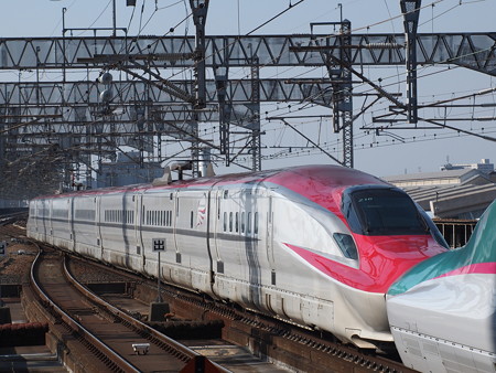 E6系こまち 東北新幹線大宮駅01