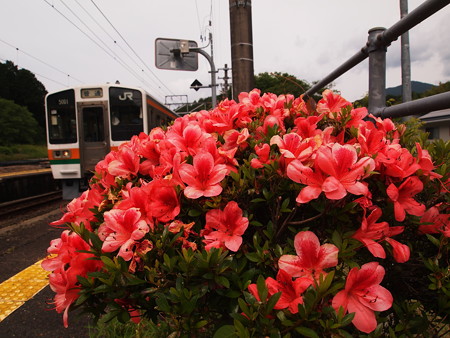 213系普通 飯田線大海駅