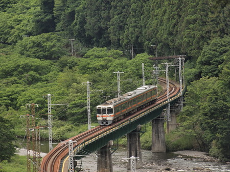 313系普通 飯田線向市場~城西03