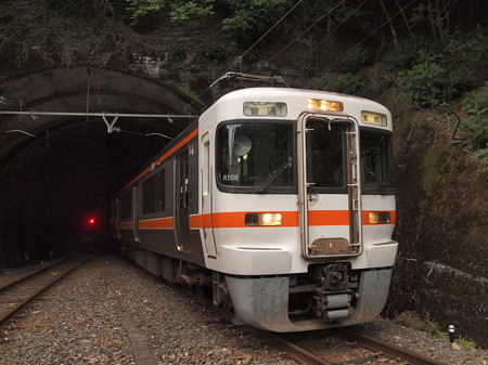 313系普通 飯田線大嵐駅