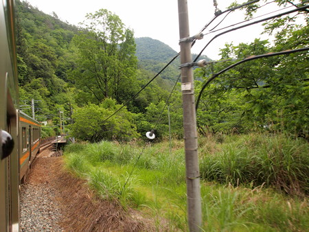 為栗駅05