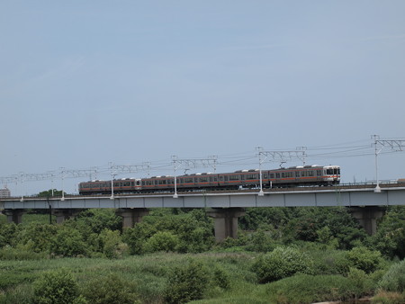 313系新快速 東海道本線西岡崎~岡崎