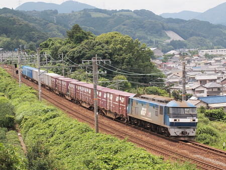 EF210貨物 東海道本線金谷~島田