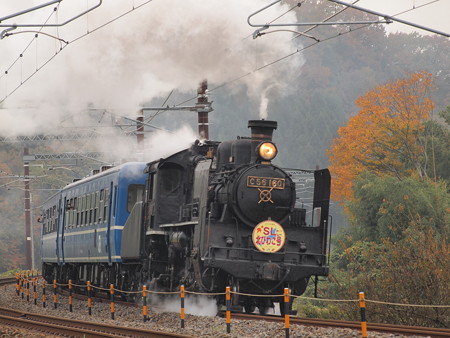 C56 SL北びわこ 北陸本線河毛~高月08