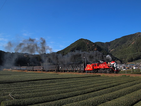 ジェームス 大井川鉄道線家山~抜里01