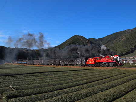 ジェームス 大井川鉄道線家山~抜里02