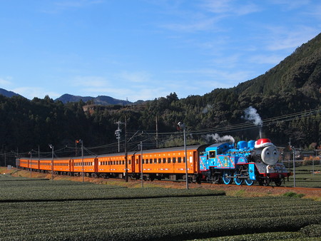 トーマス 大井川鉄道線家山~抜里01