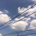 Photos: 夏空のしたGO ～summer sky