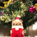 Photos: サンタは吊られていた ～little Xmas