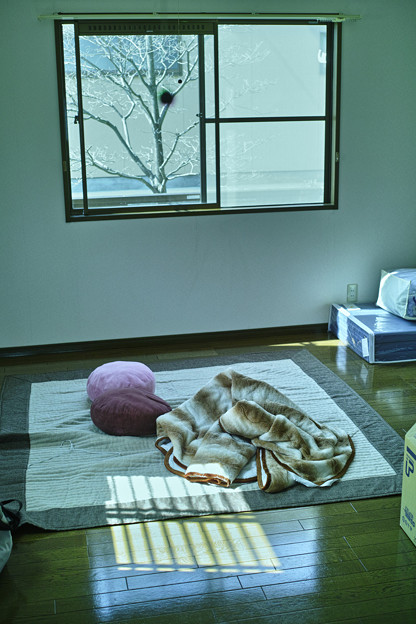 SDIM0541