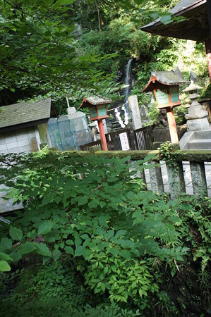 DSC02851