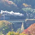 秋彩の鉄橋