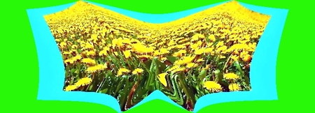 the world of yellow-01