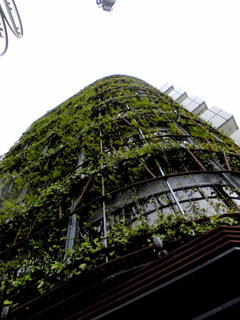 目黒駅周辺-01”evergreen”