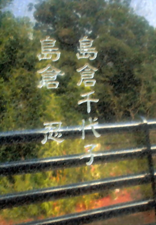 東海寺大山墓地_島倉千代子墓-02お墓の裏側a