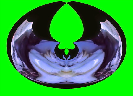 カエルの歌-01b