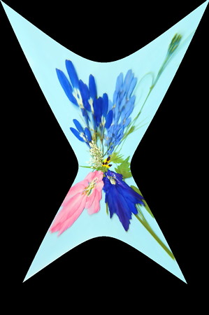 押し花-01b