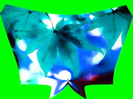 モミジ-03c(2)