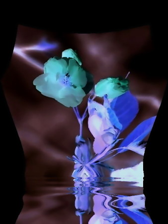 朱雀の花-01e