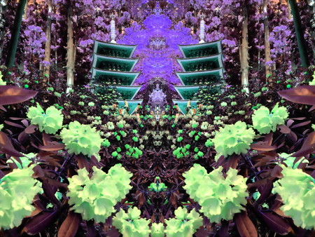 花の寺-01