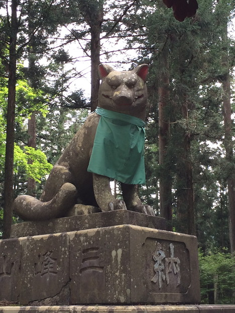 三峯神社狛狼 写真共有サイト フォト蔵