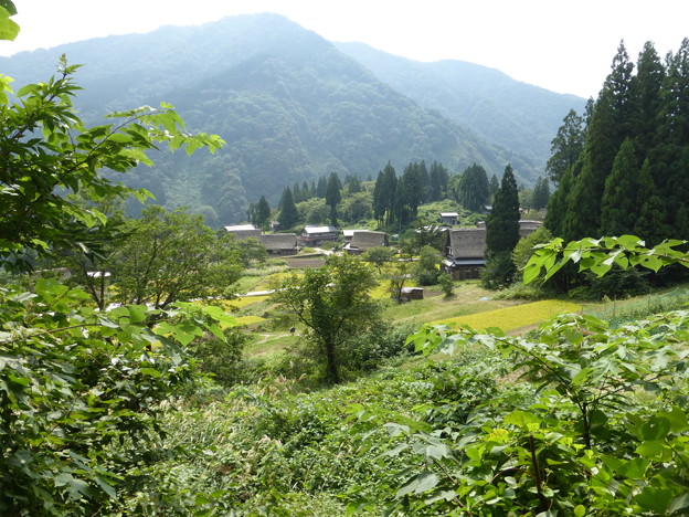 相倉