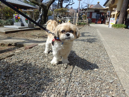 DSC08907