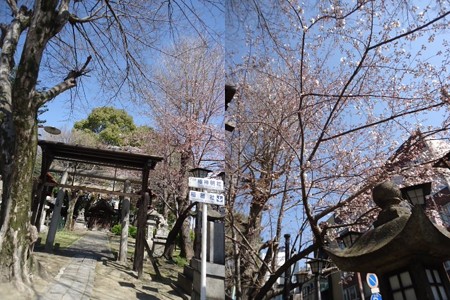 神社2