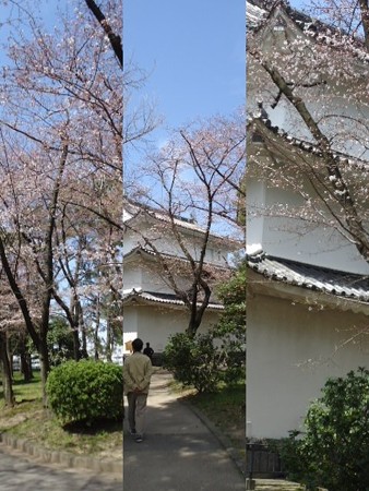 名古屋城6