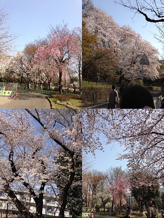 3-30toyama
