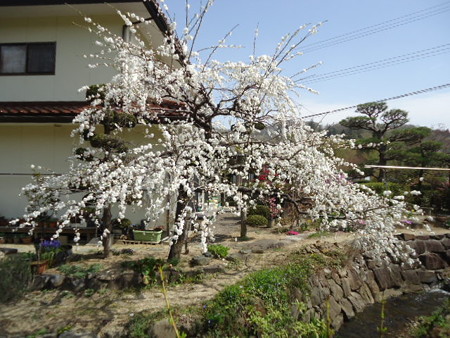 DSC08881