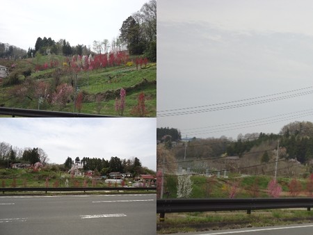 花やしき公園2