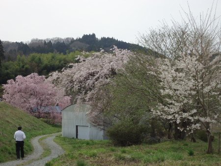 DSC08951