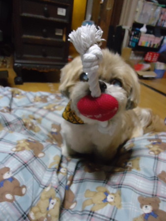 DSC09003