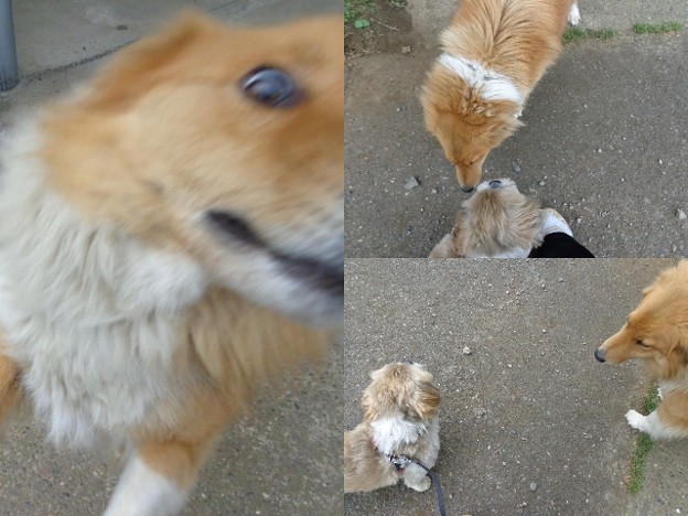 千葉友5