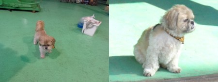 千葉工場にて5