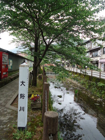 DSC09115