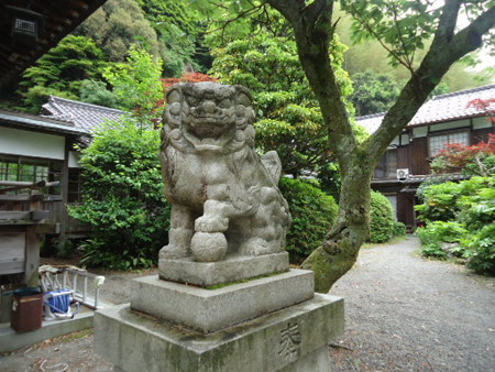 DSC09157