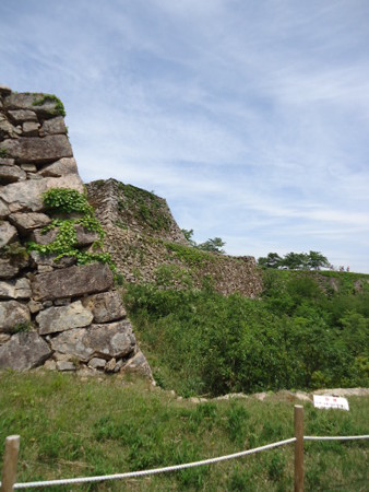DSC09223